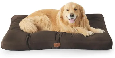 Produktbild von Hundekissen XXL 111x89cm gepolstert waschbar braun 10cm Höhe