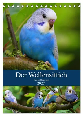 Produktbild von Der Wellensittich - Mein Lieblingsvogel (Tischkalender 2027 DIN A5 hoch), CALVENDO Monatskalender
