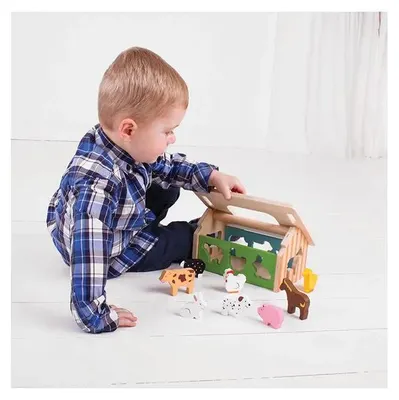 Image de Trieur de ferme Bigjigs