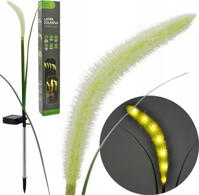 Image de Lampe solaire de jardin 75 cm avec 6 LED – Lampe solaire décorative en forme d'herbe, décoration de jardin/piquet de parterre, blanc chaud