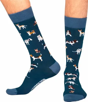 Obrázok produktu pre Ponožky Jimmy Lion Dogs Blue 41-46