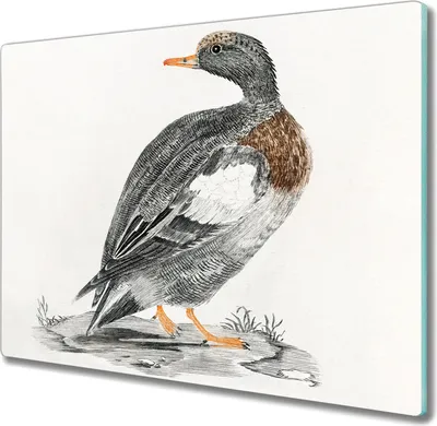 Produktbild von Coloray Hackbrett Kochplattenabdeckung Herdabdeckplatte 60x52 cm Schneidebrett Küchenbrett - Tier Vogel Ente