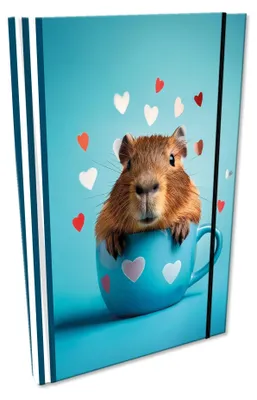 Obrázok produktu pre Notes A5 kratka z gumką Soft Touch Capybara