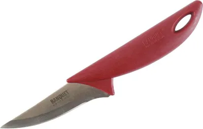 Produktbild von Universalmesser 9cm CULINARIA ROT