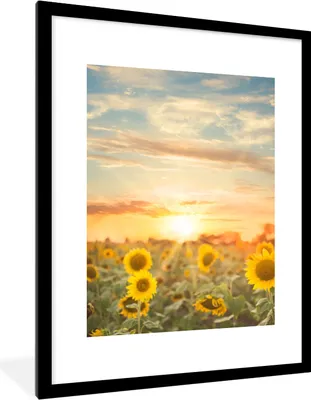 Produktbild von MuchoWow® Gerahmtes Poster Sonnenblume - Sonne - Blumen 60x80 cm - Poster mit Schwarzem Bilderrahmen Wandposter Rahmen Foto Bilder - Wohnzimmer - Dekorationen - Prämie