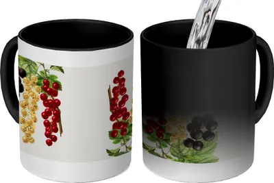 Produktbild von MuchoWow® Zauber Tasse Zaubertasse Magic Trauben - Beeren - Lebensmittel 350 ml Farbwechsel Becher Geschenk Geschenkidee - Magic-Tasse - Fototasse - Keramiktassen - Bilder - Tasse Kaffee - Getränkbech