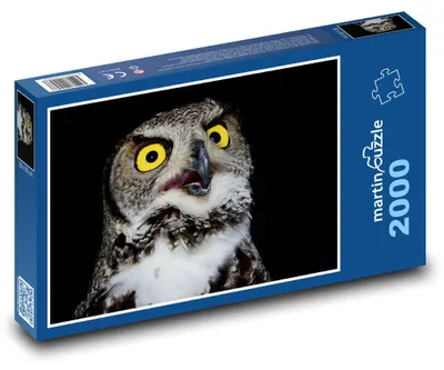 Produktbild von Puzzle 2000 Eule mit gelben Augen - martinpuzzle