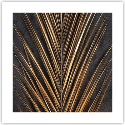Produktbild von Poster - Poster ohne Rahmen - Blatt golden schwarz - 40x40 cm - Wand Bild - Wanddeko - Wandbilder - Kunstposter - Wandposter - Bilder - Kunstdruck - Wanddekoration - Wandbild - P2XAC40x40-5091