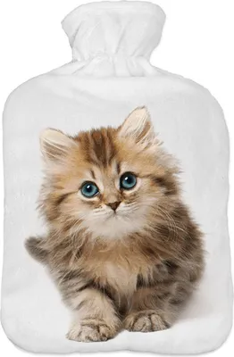 Wärmflasche mit Pullover Bezug 2 Liter Bettflasche mit schönen Fleece-Druck Bezug Gummi Wärmflasche mit Deckel Katze [092]