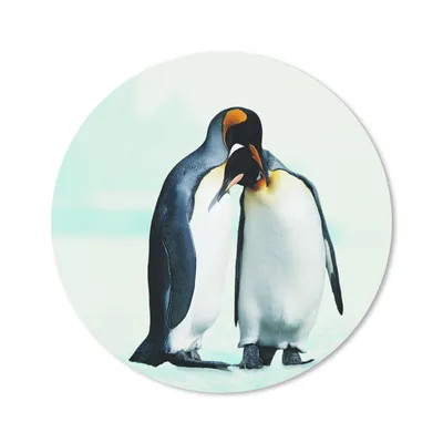 Produktbild von MuchoWow® Mauspad Mousepad Pinguine - Schnee - Familie 40x40 cm - Mousepads - Maus Mat - Pad - Mausunterlage - Schreibtisch Accessoires