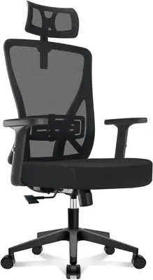 Produktbild von Ergonomischer Bürostuhl mit Kopf- & Lendenstütze, Höhenverstellbarer Schreibtischstuhl mit Mesh-Rücken, Verstellbare Armlehnen, Drehstuhl für Home Office & Büro bis 150 kg