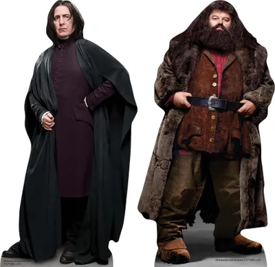 Immagine prodotto di Piton e Hagrid - Set di 2 decorazioni da tavolo