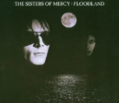 Produktbild von Floodland