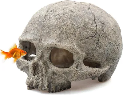 Produktbild von Aquarium-Schädel-Dekoration, Harz-Aquarium-Dekorationen Höhle Betta-Fischversteck Reptilienhaus für kleine Fische, Garnelen