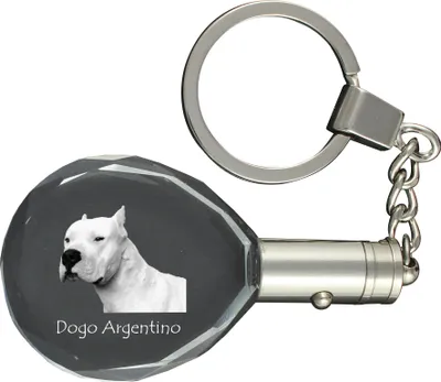 Produktbild von Argentinische Dogge, Dogo Argentino - Anhänger mit einem Foto eines Hundes, Schlüsselanhänger aus Kristall in einer Geschenkbox, ein einzigartiges Geschenk von Art-Dog
