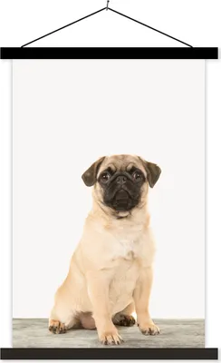 Produktbild von MuchoWow® Textilposter Hund - Mops - Tiere - Jungen - Mädchen - Spaß für Kinder 60x90 cm mit schwarzem Rahmen - Poster Wohnzimmer