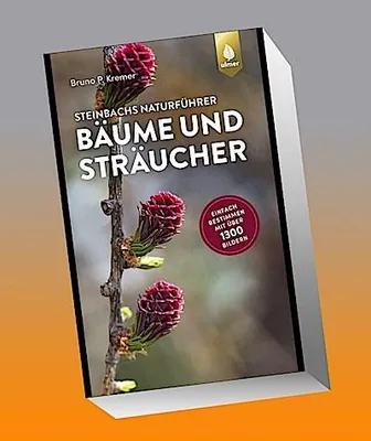 Immagine prodotto di Steinbachs Naturführer Bäume und Sträucher