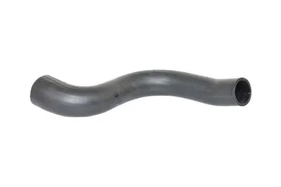 Produktbild von BUGIAD 88596 Turbo Ladeluftschlauch für LAND ROVER Range Rover Sport (L320) Range Rover III (L322)