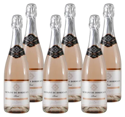 Produktbild von Jean Degaves Crémant de Bordeaux Rosé (6 x 0,75L)