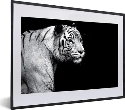 Produktbild von MuchoWow® MuchoWow® Gerahmtes Poster Studioaufnahme eines weißen Tigers auf schwarzem Hintergrund 60x40 cm - Poster mit zchwarzem Bilderrahmen - Schlafzimmer - Plakat in Rahmen - Drucken