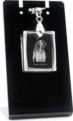Produktbild von Italienischer Vorstehhund, Bracco Italiano - Kristallanhänger für Hunde, Foto-Halskette, einzigartiger Schmuck von Art-Dog