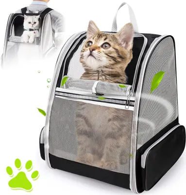 A cat is shown peeking out of a pet carrier backpack, with a smaller inset image showing a white cat in a similar backpack worn by a person.