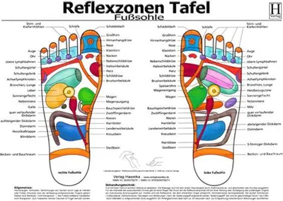 Produktbild von Fussreflexzonen Tafel. Fusssohle. DIN A3