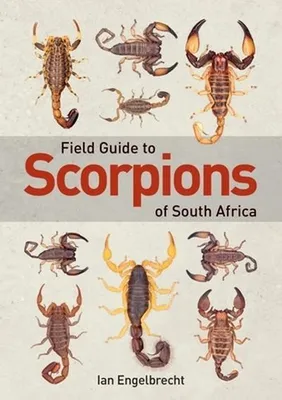 Produktbild von Field Guide to Scorpions of South Africa