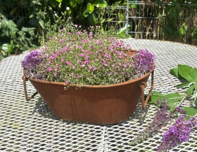 Produktbild von Edelrost Wanne zum Bepflanzen 23x53cm Rost Pflanzwanne Blumentopf Windlicht Edelrost Gartendeko