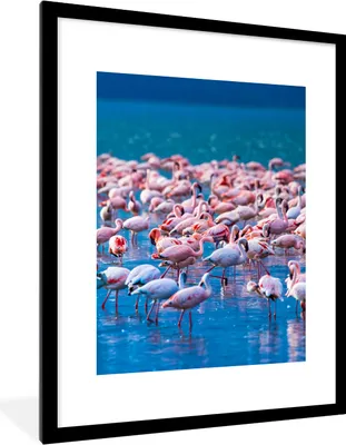 Produktbild von MuchoWow® Gerahmtes Poster Flamingo - Wasser - Tropisch - Rosa 60x80 cm - Poster mit Schwarzem Bilderrahmen Wandposter Rahmen Foto Bilder - Wohnzimmer - Dekorationen - Prämie