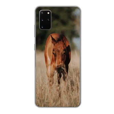 Produktbild von MuchoWow® Handyhülle Schutzhülle Hülle für Samsung Galaxy S20 Plus Pferd - Sonne - Landschaft Silikon Softcase Handy Hülle - Hartschale