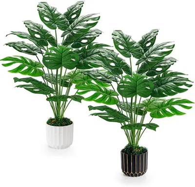 Produktbild von Unyqoos® Set mit 2 kunstpflanzen (71 cm) für realistische Innenraumdekoration, pflegeleicht und vielseitig einsetzbar