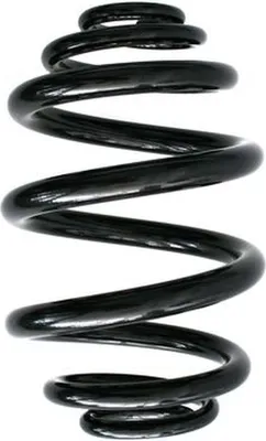 Image de Ressort de suspension SPIDAN 85736