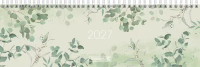 Produktbild von BRUNNEN Querterminbuch Mod. 774 2027 „Kalypso“ | 326×102 mm, Karton