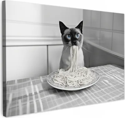 Produktbild von Leinwand Bilder 30x20 cm - Tiere, Komisch - Siamkatze, Wandbilder, Wanddeko Wohnzimmer, Bild