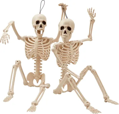 Produktbild von JOYIN 2er Set 61 cm Halloween-Skelette mit beweglichen Gelenken