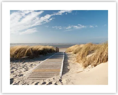 Produktbild von Poster - Poster ohne Rahmen - Strand Meer Fußgängerbrücke Ufer - 50x40 cm - Wand Bild - Wanddeko - Wandbilder - Kunstposter - Wandposter - Bilder - Kunstdruck - Wandbild - P2XAA50x40-2657