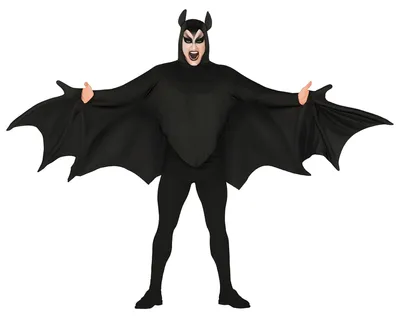 Immagine prodotto di Costume da pipistrello per uomo, taglia:L