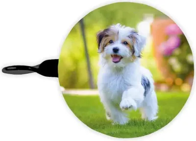 Image de Sonnette de vélo chien coloré 60 mm - bbeBells 52431 - Sonnette Sonnette