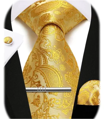 Image de Ensemble de cravates pour hommes comprenant une cravate, un mouchoir de poche, une pince à cravate et des boutons de manchette, de couleur jaune, en 5 pièces