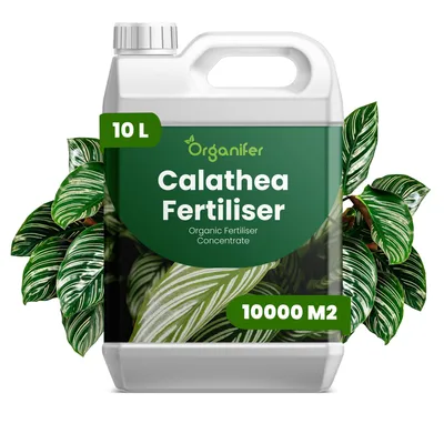 Obrázok produktu pre Calathea, tekuté hnojivo, 10 litrov, vzťah živín NPK: 2-1-8 – Pre izbové rastliny – Pre zdravé listy a bohatú vegetáciu – Podporuje rast koreňov a vitalitu – Organický produkt