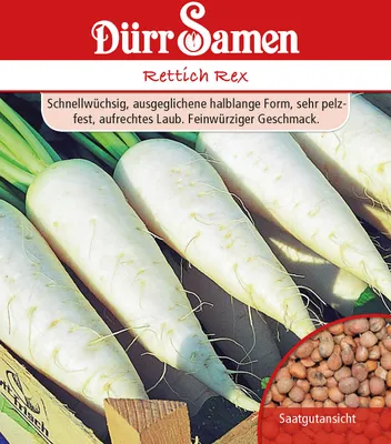 Produktbild von Rettich Rex | Rettichsamen von Dürr Samen