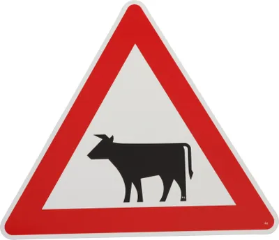 Produktbild von ORIGINAL Verkehrsschild Nr. 101-12 * Viehtrieb Aufstellung rechts * SL 900 mm nach StVO und RAL-Gütebedingungen  Achtung Warnschild Straßenschild  Gefahrenzeichen Schild Gefahrenschild Kuh Rind