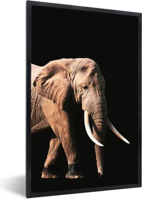 Produktbild von MuchoWow® MuchoWow® Gerahmtes Poster Elefant - Schwarz - Grau 60x90 cm - Poster mit zchwarzem Bilderrahmen - Kunst