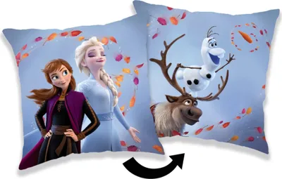Zdjęcie produktu dla Poduszka z mikropolaru poliestrowego JERRY FABRICS Ice Kingdom 2 Wind 02, 40/40 cm