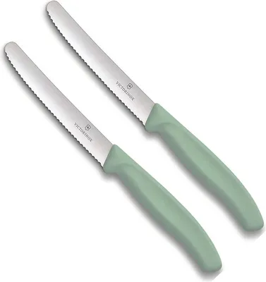 Produktbild von Victorinox | Tafelmesser Swiss Classic | 2 Stück | Hellgrün | Swiss Made | ideal auch als Frühstücksmesser