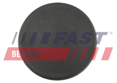 Produktbild von FAST Türverkleidung FT96904 für OPEL Movano B Kastenwagen (X62)