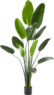 Obrázek produktu pro Umělý rajský pták Tropic, realistický - 180 cm