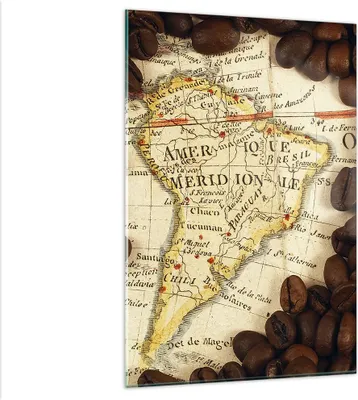 Produktbild von Bilder auf glas - Einteilig - Südamerika Samen Kaffee - 80x120cm - Glasbilder - Wandbilder - Bilder - zum Aufhängen bereit - Wanddekoration aus Glas - Glas Bilder - Wandbild auf Glas - GPA80x120-2198