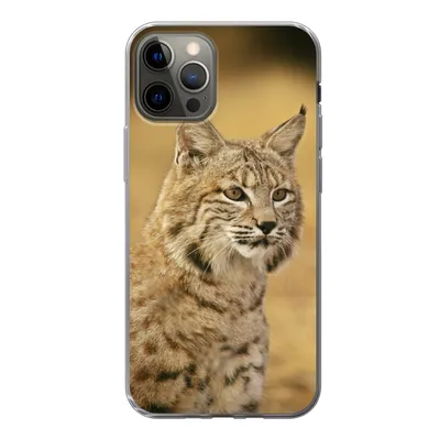 Produktbild von MuchoWow® Handyhülle Schutzhülle Hülle für iPhone 12 Pro Luchs - Braun - Gras Silikon Softcase Handy Hülle - Abdeckung